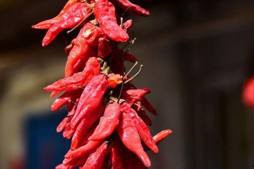 国产辣椒在线视频,国产辣椒在线视频带你领略舌尖上的中国